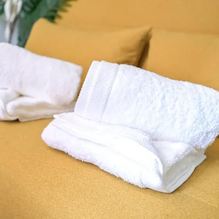 Apartment Le Saint-georges : Toulousain Typique Toulouse