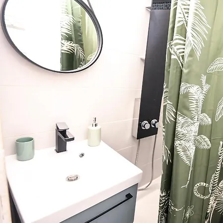 Le Saint-georges : Toulousain Typique Apartment