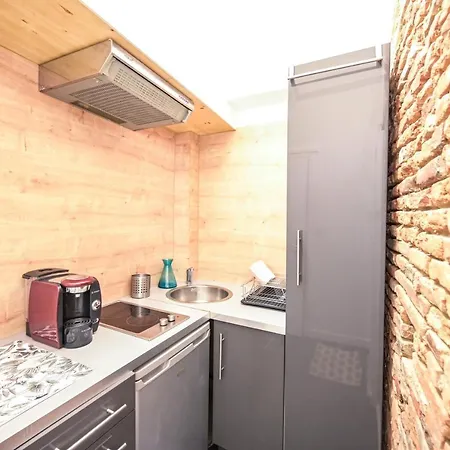 Apartment Le Saint-georges : Toulousain Typique Toulouse