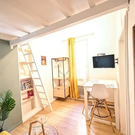 Le Saint-georges : Toulousain Typique Apartamento